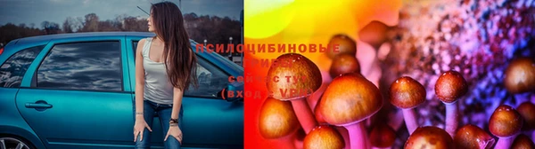 МДПВ Армянск