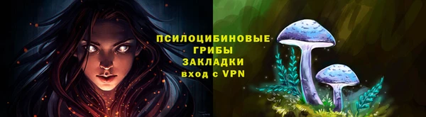 дурь Арсеньев