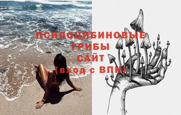 МДПВ Армянск