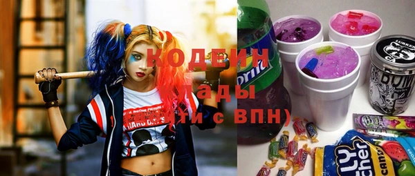 дурь Арсеньев