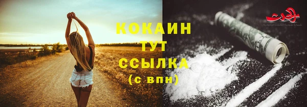 дурь Арсеньев