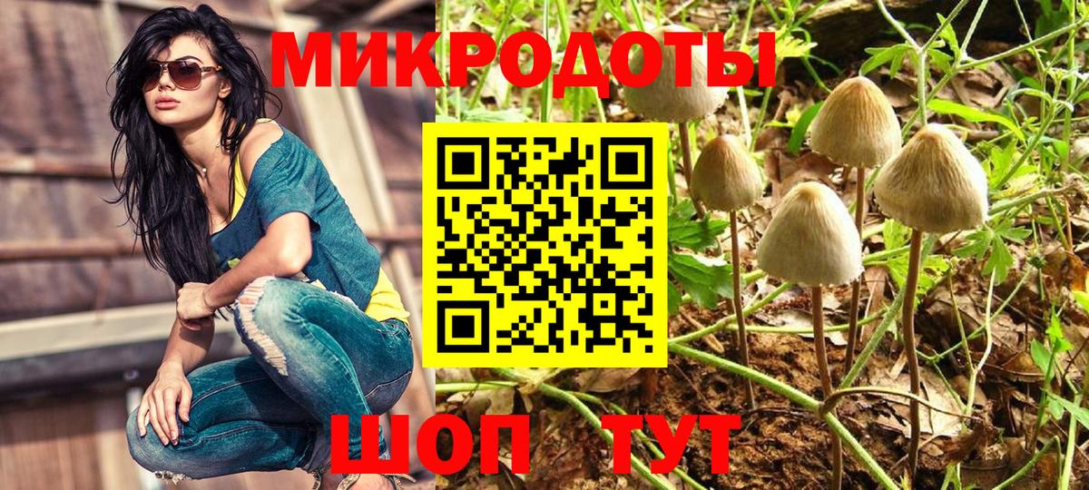 Псилоцибиновые грибы MAGIC MUSHROOMS Учалы